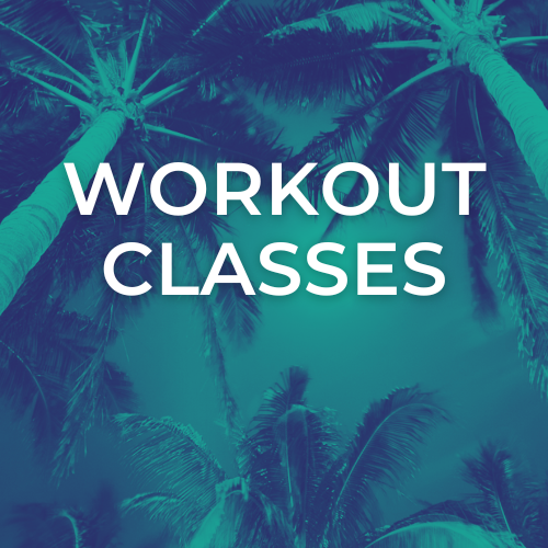 Workout Classes