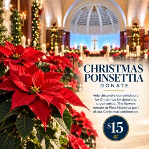 Donate a Christmas Poinsettia